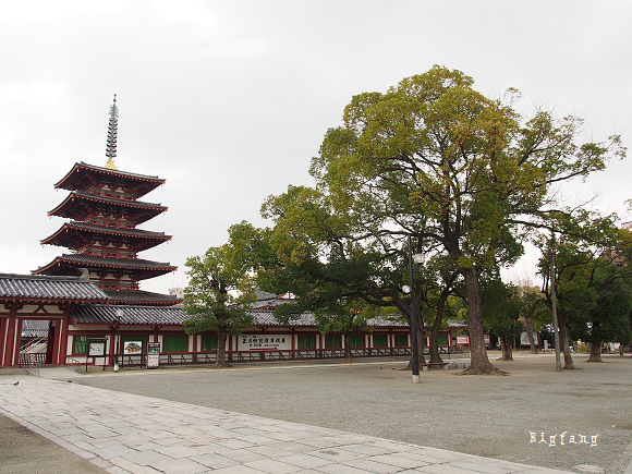 大阪自由行 四天王寺 五重塔 本坊庭園 隨走散策 樂活的大方 旅行玩樂學