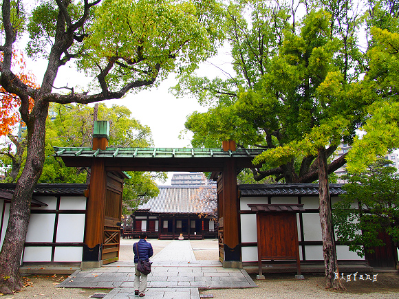 大阪自由行 四天王寺 五重塔 本坊庭園 隨走散策 樂活的大方 旅行玩樂學