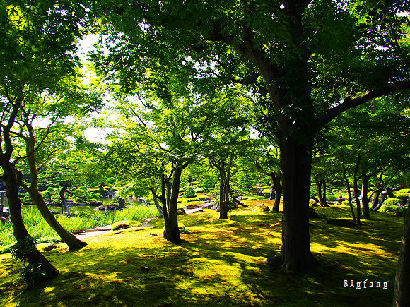 神話の國 島根 大根島由志園 在超美的迴遊式日本庭園 欣賞日本第一的牡丹花 樂活的大方 旅行玩樂學