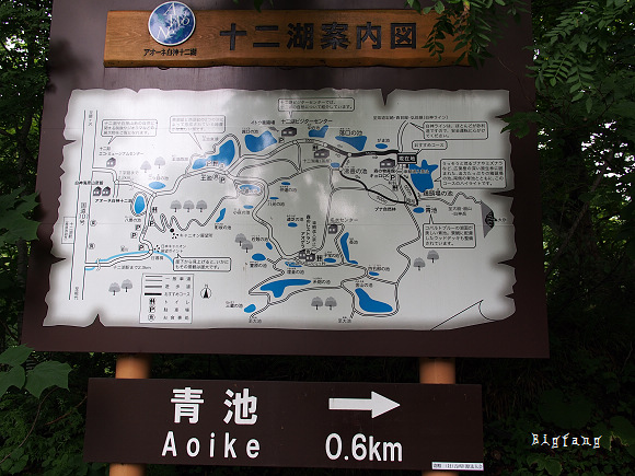 日本 東北 青森白神山地世界遺產 十二湖散策 看最美的青池 享受芬多精 樂活的大方 旅行玩樂學
