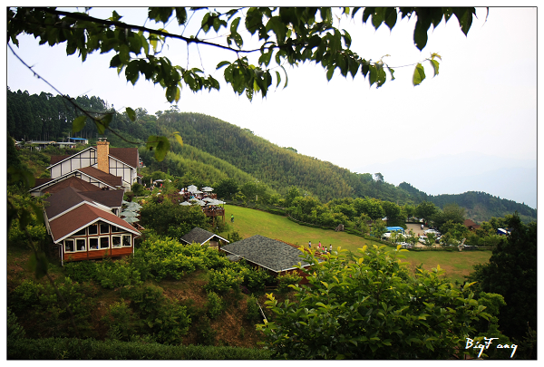 新竹 山上人家森林農場 值的一去的高海拔景觀餐廳 樂活的大方 旅行玩樂學